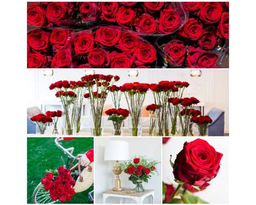 Red Naomi - Valentinstag